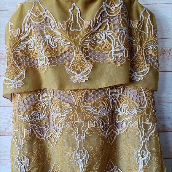 BCBGMAXAZRIA Runway "Samantha" Silk Organza Embroidered Mini Dress - Picture 6 of 14